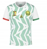 Unschlagbares Angebot: Le Coq Sportif Kamerun Trikots für nur 12,54€ bei Picksport!